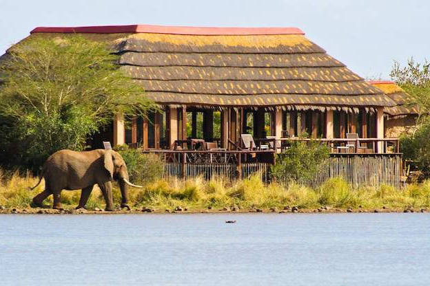 Kruger National Park, South Africa - Top 10 Honeymoon Destinations in Africa