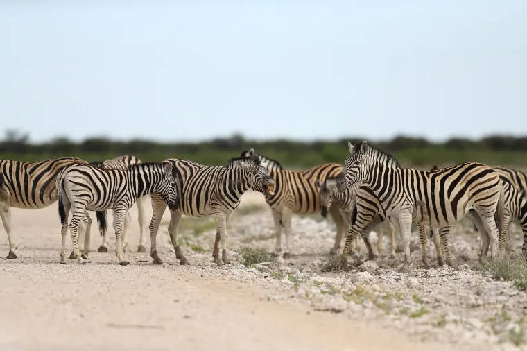 Namibia